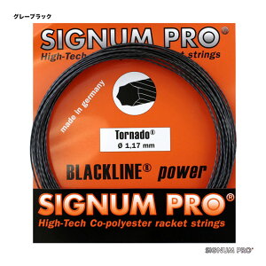 �V�O�i���v�� SIGNUM PRO �e�j�X�K�b�g �P���� �g���l�[�h�iTornado�j 117 �O���[�u���b�N tornado117