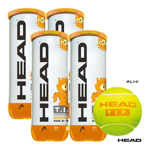 wbh HEAD ejX{[ T.I.P.IW 3i4ʁj 578123