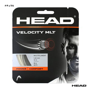 �w�b�h HEAD �e�j�X�K�b�g �P���� �x���V�e�B �}���`�iVELOCITY MLT�j 130 �i�`������ 281404