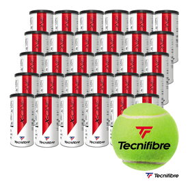 テクニファイバー Tecnifibre テニスボール X-ONE（エックス-ワン） 2球入 1箱（30缶/60球） TBA2XE1