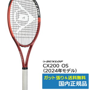 硬式 テニスラケット 105平方インチ」の人気商品一覧・価格比較 - 価格.com