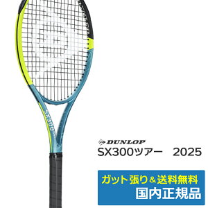 �_�����b�v DUNLOP SX300�c�A�[ 2025�N���f�� �d���e�j�X���P�b�g DS22500 �e�B�[��×�C�G���[ �������K�i