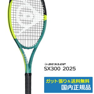 �_�����b�v DUNLOP SX300 2025�N���f�� �d���e�j�X���P�b�g DS22501 �e�B�[��×�C�G���[ �������K�i