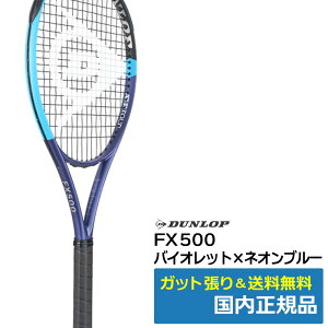 �_�����b�v DUNLOP FX500 2026�N���f�� �d���e�j�X���P�b�g DS22601 �o�C�I���b�g×�l�I���u���[ �������K�i
