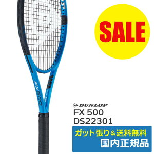 �_�����b�v DUNLOP FX500 2023 �d���e�j�X���P�b�g DS22301 �u���[ �������K�i