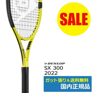 �_�����b�v DUNLOP SX300 2022 �d���e�j�X���P�b�g DS22301 �C�G���[ �������K�i