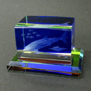 3DNX^ WxGU MTCY KX IuWF y[p[EFCg a NX}X v[g Mtg 120-654