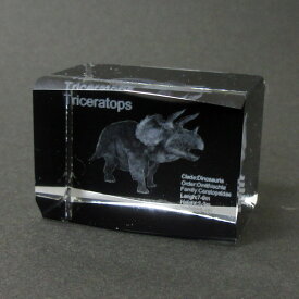 3Dクリスタル(M) トリケラトプス ブラック ガラス オブジェ ペーパーウェイト 恐竜 誕生日 クリスマス プレゼント ギフト 120-690