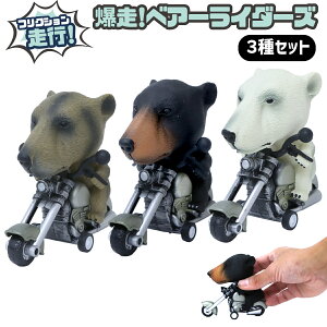 ~jJ[ tNV  xAC_[Y 3Zbg oCN  rbOwbhAj} F 201-693