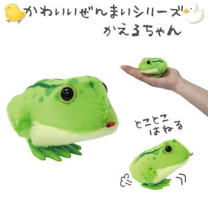 yyVX[p[SALEEzzyP5{z܂V[Y 킢邿 1 Pi ss ˂ ߋ TCY WIND-UP }XRbg 202-513