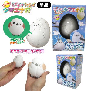 yyVX[p[SALEEzzyP5{zNEW т肽܂ V}GiK 1 Pi 킢 ߋ 206-674