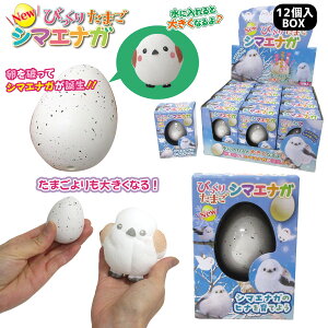 NEW т肽܂ V}GiK 12BOX 킢 ߋ 206-674