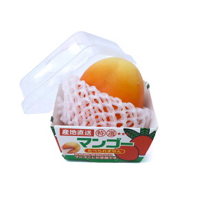 Yn  }S[XNC[Y 1 Pi ՂɂՂ XgX   206-807