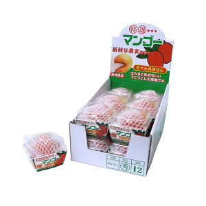 Yn  }S[XNC[Y 12BOX ՂɂՂ XgX   206-807