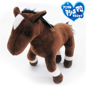 ʂ 킢 }V}}XRbg E} l`  a NX}X v[g Mtg 207-663