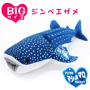 ʂ }V}}XRbg rbOTCY WxCU 207-720 a NX}X v[g Mtg bsO