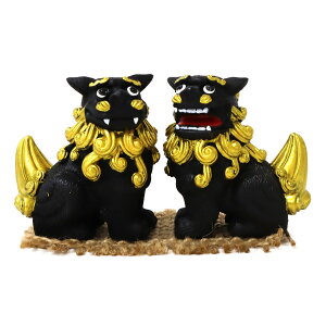 55mm M[q() V[T[ u S[h^Cv 1 Pi Iׂ2F q p IX X yA ObY