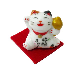 J^  L 1 Pi Iׂ2 ܂˂˂ N u 303-205