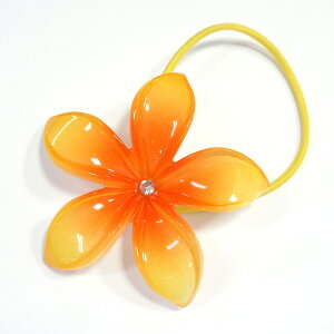 wAANZT[   wAS vA a NX}X v[g Mtg