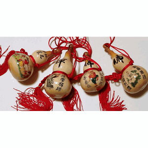 t߃Z[ 50It VRZ\ Ђ傤 