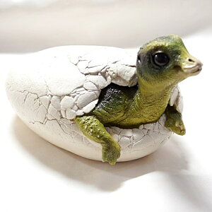 }CATE̐Ԃ񋰗̗ vJEtBMAiX^`Ej@yz̒uz