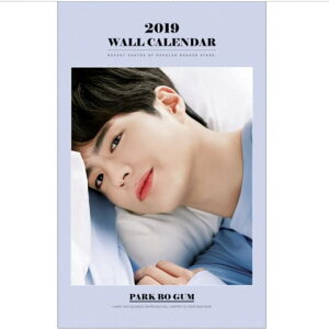 �p�N�{�S�� PARK BOGUM 2019�N�Ǌ|���J�����_�[ K-STAR PHOTO WALL CALENDAR 2019