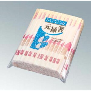 蔢  AXy\ܓ sN 100V S203 1/ƖpH/Vi/Ώۏi