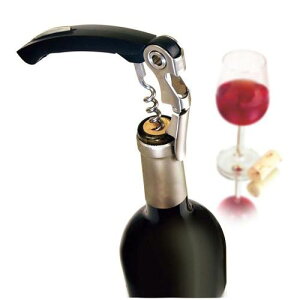 \GiCt oLo EFC^[Y RNXN[ /Ɩp/Vi/Ώۏi