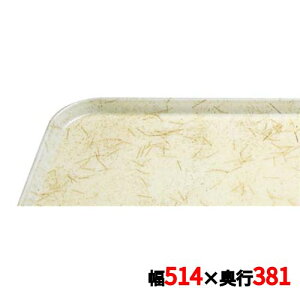 �g���[ �L�����u�� �J���g���C 1520(526)G/A/P/G CAMTRAYS /�Ɩ��p/�V�i/���������Ώۏ��i