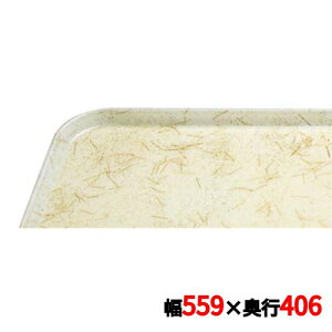 g[ Lu JgC 1622(526)G/A/P/G CAMTRAYS /Ɩp/Vi/Ώۏi