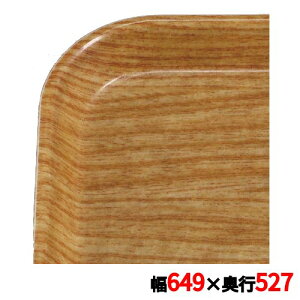 �g���[ �L�����u�� �J���g���C 2025(307)���C�g�G���� CAMTRAYS /�Ɩ��p/�V�i/���������Ώۏ��i