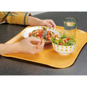 �g���[ �L�����u�� �Z���`�����[�J���g���C 1520C(171)�^�X�J���S�[���h CAMTRAYS /�Ɩ��p/�V�i/���������Ώۏ��i