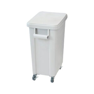 X ~[pLX^[y[(rt)45L O[(GY) 505×s305×595(mm)/vp/Vi /Ώۏi