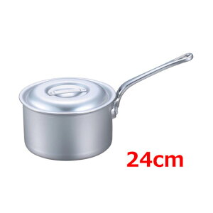 EBM A~ vVFt IH [^Ў 24cm /Ɩp/Vi /e|X