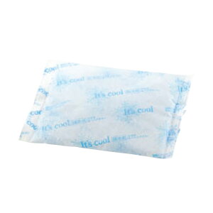 �ۗ�� �A�C�X�p�b�N FAR400(42��) ��140×���s205(mm)/�Ɩ��p/�V�i/���������Ώۏ��i