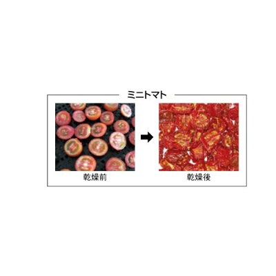 【食品乾燥機ドラッピーDSJ-mini】幅380×奥行325×高さ484(mm)/業務用/グループA