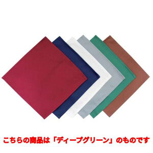 EBM Jg[P[XpivL(10)fB[vO[ 230×230 /ƖpH/Vi/Ώۏi