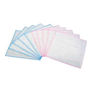 Dӂ 10 F-866 300×s300(mm)/vp/Vi /Ώۏi