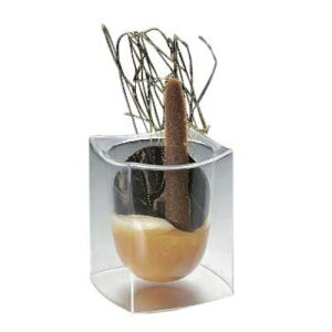 eCXeBO ~jOX 40ml(144)MTG40 /Ɩp/Vi/ /e|X