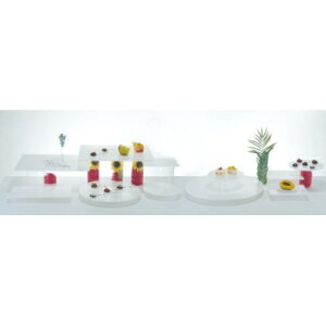 gC yWHITE TRAY(zCggC)Zbgz /Ɩp/Vi/