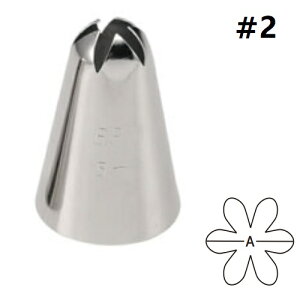  6 Ԍ^ EBM #2/vp/Vi /Ώۏi