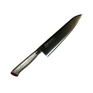  EBM E-pro PLUS  30cm uE EBM E-pro PLUS :440A:3/Ɩp/Vi/Ώۏi