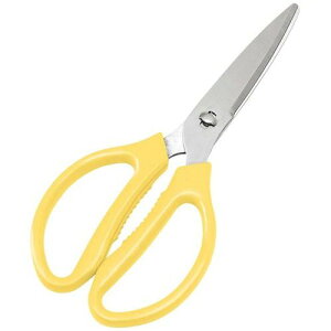 EBM XeX ZNgLb`oT~ CG[/Ɩp/Vi/Ώۏi