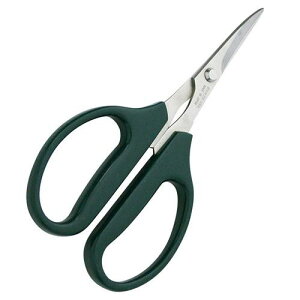 Xe Ej؂͂()/Ɩp/Vi/Ώۏi