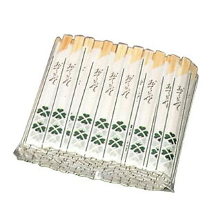  ԕd \ 100V/Ɩp/Vi/Ώۏi