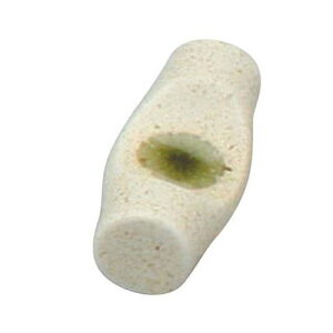 AZH ڗΔu EC8|56/Ɩp/Vi/Ώۏi