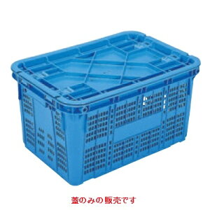 Rei TR[ Tei[ A#50-3p W u[ PP A#50-3/vp/Vi /Ώۏi