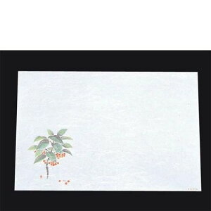 ڎO ΂܂ RۉԘa(100)WS|6 (12`1)/Ɩp/Vi/Ώۏi