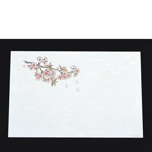 ڎO ΂܂ RۉԘa(100)WS|9 (3`4/Ɩp/Vi/Ώۏi