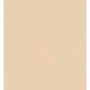 �I���r�A �e�[�u���N���X �V�[�g 1000×1000(10����)�A�C�{���[/�Ɩ��p/�V�i/���������Ώۏ��i